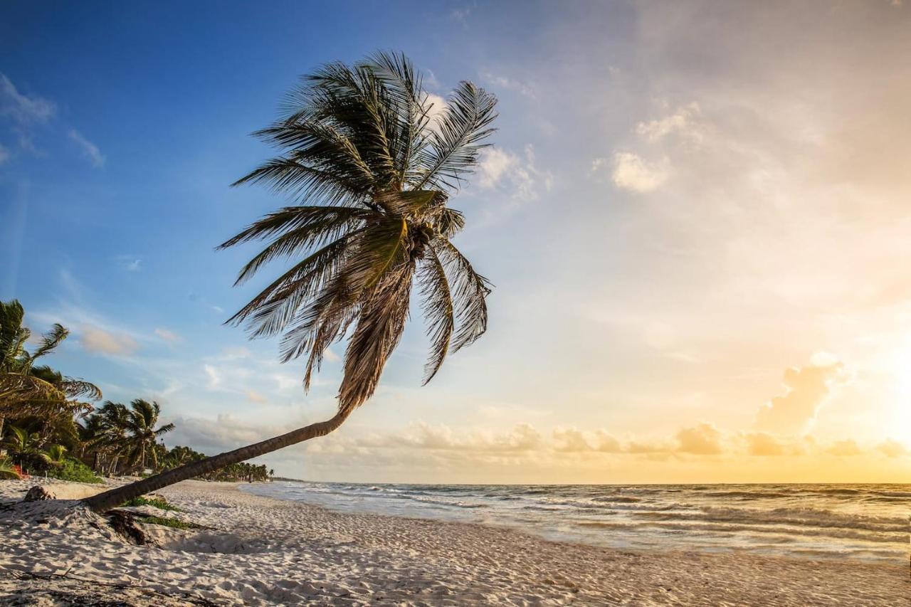 Hidden Treehouse Tulum Eco-Hotel Exterior foto